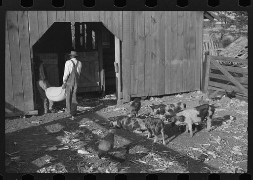 Fertilizer for Nolan Pettway, Gees Bend, Alabama