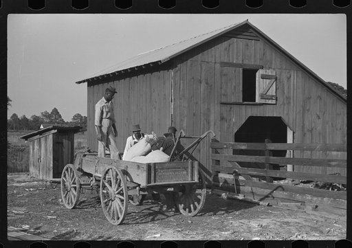 Fertilizer for Nolan Pettway, Gees Bend, Alabama