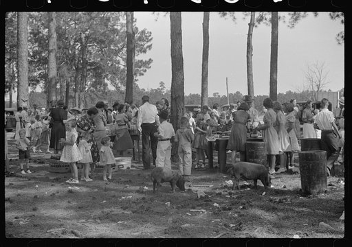 Untitled photo, possibly related to: Picnic at Irwinville Farms, Georgia, on May Day
