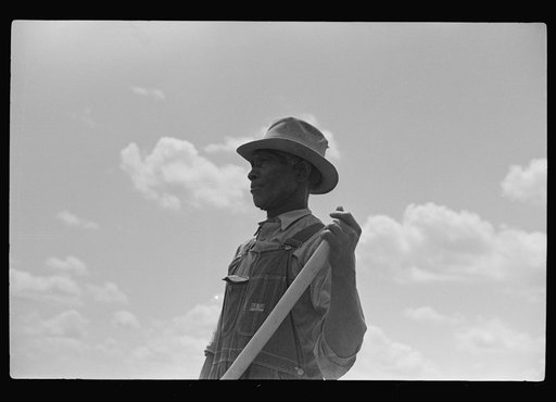 Untitled photo, possibly related to: General Tooks, hoeing corn in his garden. Flint River Farms, Georgia