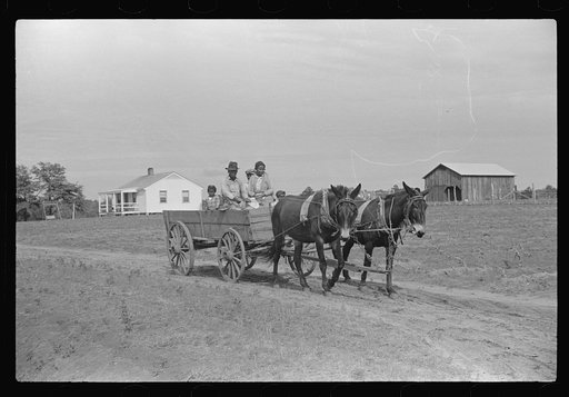 Ben Turner and family in their wagon with mule team purchased on FSA (Farm Security Administration) loan. Flint River Farms, Georgia