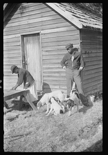 Negro woman making "chitlins" after hog killing. Near Maxton, North Carolina