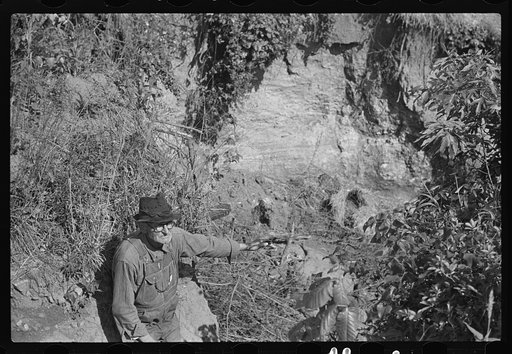 Untitled photo, possibly related to: Eroded land, south Georgia, near Atlanta