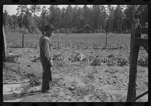 Untitled photo, possibly related to: Eroded land, south Georgia, near Atlanta