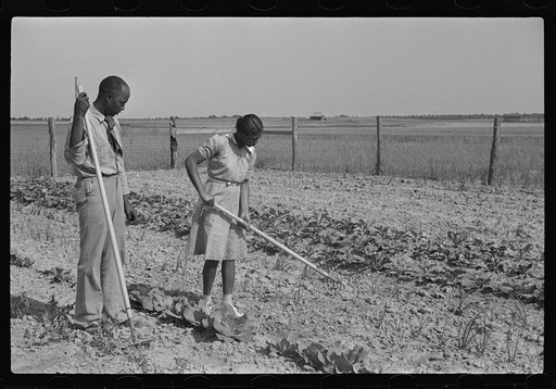 Untitled photo, possibly related to: School principal helping student in school garden, Flint River Farms, Georgia