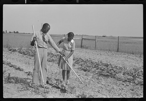 School principal helping student in school garden, Flint River Farms, Georgia