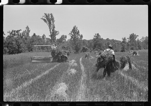 Untitled photo, possibly related to: Eroded land, south Georgia, near Atlanta