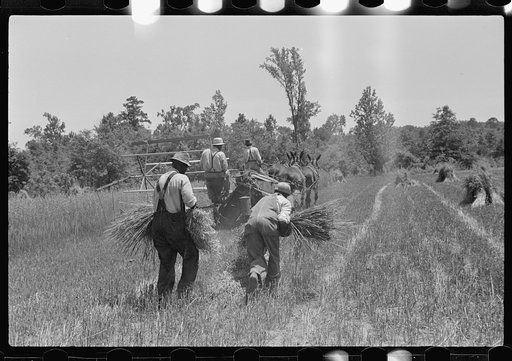 Untitled photo, possibly related to: Eroded land, south Georgia, near Atlanta