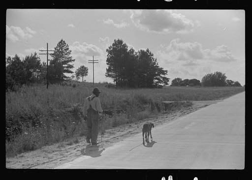Along highway near Manning, Clarendon County, South Carolina