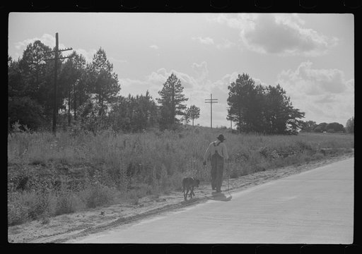Untitled photo, possibly related to: Along highway near Manning, Clarendon County, South Carolina