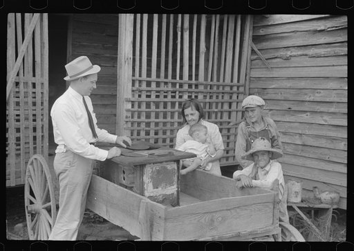 FSA (Farm Security Administration) supervisors examining rehabilitation borrower's mule. Greene County, Georgia