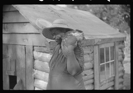 Untitled photo, possibly related to: Pauline Clyburn, rehabilitation borrower, Manning, Clarendon County, South Carolina, and her son repairing home