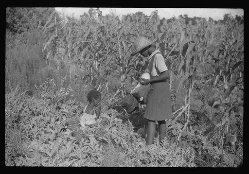 Untitled photo, possibly related to: Two of Pauline Clyburn's children, rehabilitation borrowers, Manning, Clarendon County, South Carolina