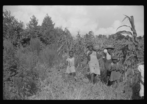 Untitled photo, possibly related to: One of Pauline Clyburn's children, rehabilitation borrower, Manning, Clarendon County, South Carolina