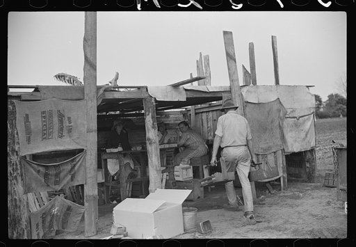 Strawberry pickers near Lakeland, Florida (see general captions no. 3 and no. 4)