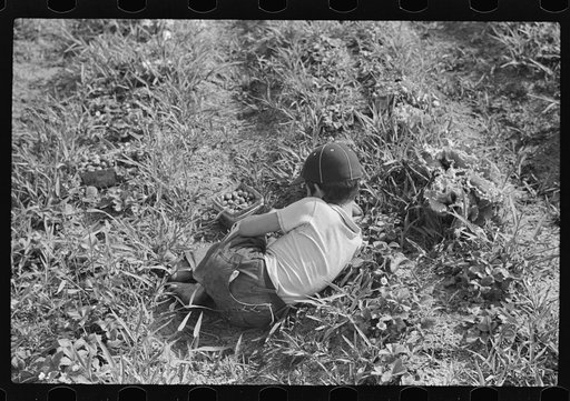 Untitled photo, possibly related to: Strawberry pickers near Lakeland, Florida