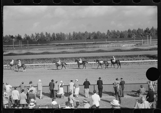 Untitled photo, possibly related to: Horse races, Hialeah Park, Miami, Florida