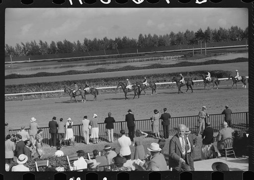 Horse races, Hialeah Park, Miami, Florida