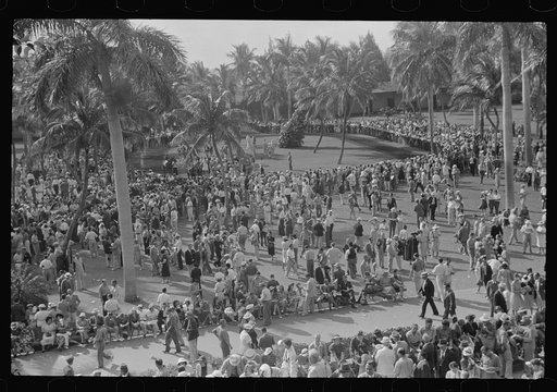 Horse races, Hialeah Park, Miami, Florida