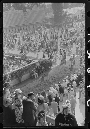 Untitled photo, possibly related to: Horse races, Hialeah Park, Miami, Florida