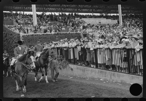 Untitled photo, possibly related to: Horse races, Hialeah Park, Miami, Florida
