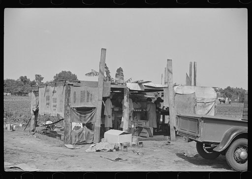 Strawberry pickers near Lakeland, Florida (see general captions no. 3 and no. 4)