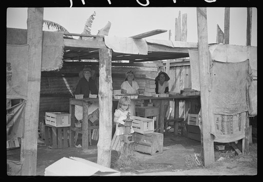 Untitled photo, possibly related to: Strawberry pickers near Lakeland, Florida (see general captions no. 3 and no. 4)