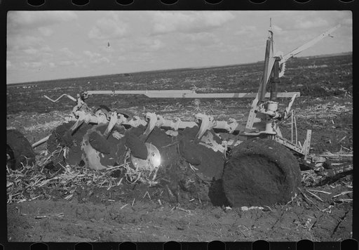 Untitled photo, possibly related to: Discing the black mulch land before planting sugarcane for United States Sugar Corporation near Clewistown, Florida