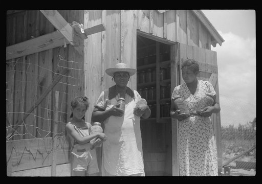 Untitled photo, possibly related to: Children of Frederick Oliver, tenant purchase borrower, picking squares in cotton field. Summerton, South Carolina