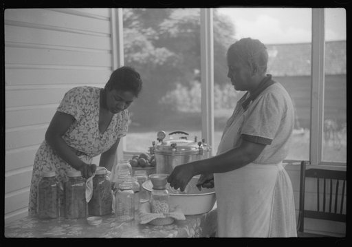 Untitled photo, possibly related to: Children of Frederick Oliver, tenant purchase borrower, picking squares in cotton field. Summerton, South Carolina