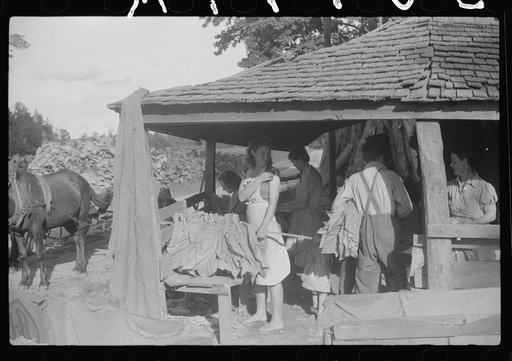 Untitled photo, possibly related to: Sharecropper family, near Manning, South Carolina, tying tobacco