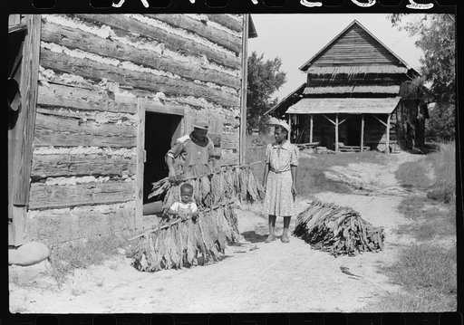 Untitled photo, possibly related to: Mrs. Compton and her four year old son, Billy, taking sticks of tobacco out of barn to the strip house. They are tenants, and the Negro owner lives in Mebane. This is part of a prosperous Negro settlement between Carr and Cedar Grove, Orange County, North Carolin
