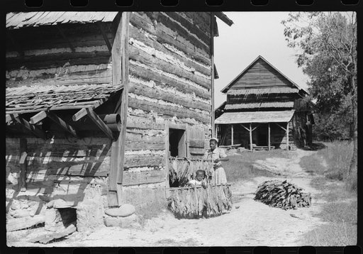 Mrs. Compton and her four year old son, Billy, taking sticks of tobacco out of barn to the strip house. They are tenants, and the Negro owner lives in Mebane. This is part of a prosperous Negro settlement between Carr and Cedar Grove, Orange County, North Carolina