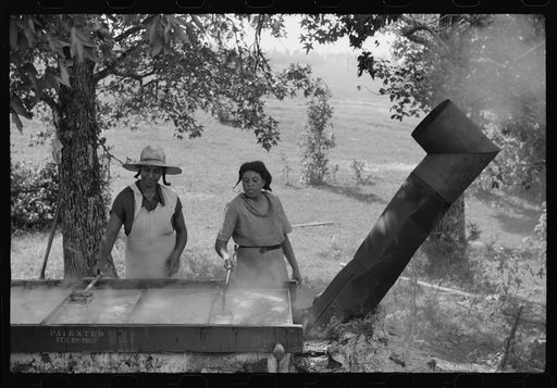 Skimming the boiling cane juice to make sorghum syrup at cane mill near Carr, Orange County, North Carolina