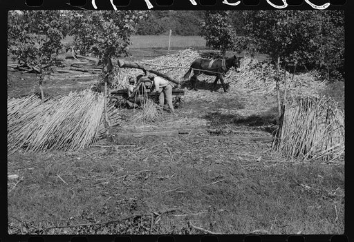 A portable cane mill. The owner gets every sixth gallon for making the sorghum syrup. This is on the property of a Negro owner, Wes Cris, a tobacco farm of about 165 acres in a prosperous Negro settlement near Carr, Orange County, North Carolina