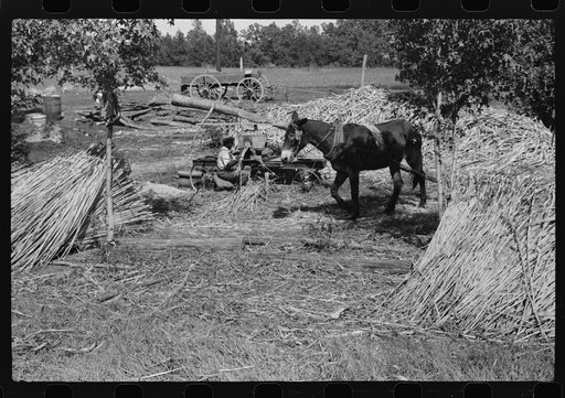 Untitled photo, possibly related to: A portable cane mill. The owner gets every sixth gallon for making the sorghum syrup. This is on the property of a Negro owner, Wes Cris, a tobacco farm of about 165 acres in a prosperous Negro settlement near Carr, Orange County, North Carolina