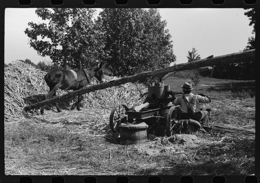Untitled photo, possibly related to: Feeding the sorghum cane into the mill to make syrup on property of Wess Cris, a tobacco farm of about 165 acres in a prosperous Negro settlement near Carr, Orange County, North Carolina