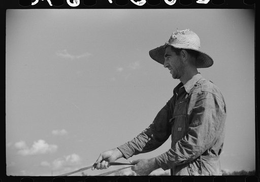 Mr. Foushee's neighbor who was helping them pick up and load wagon of sweet potatoes. He received a small share, On highway No. 144 near intersection with highway No. 14. Orange County, North Carolina