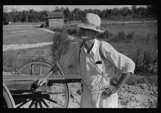 Mr. Foushee, owner-operator of farm, waiting while his son and neighbor load the wagon with sweet potatoes. He is sixty-five and has nineteen children. Orange County, North Carolina