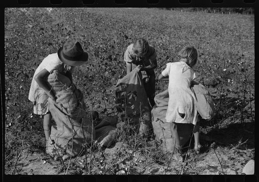 Untitled photo, possibly related to: Two of J.A. Johnson's children in cotton field, Statesville, North Carolina