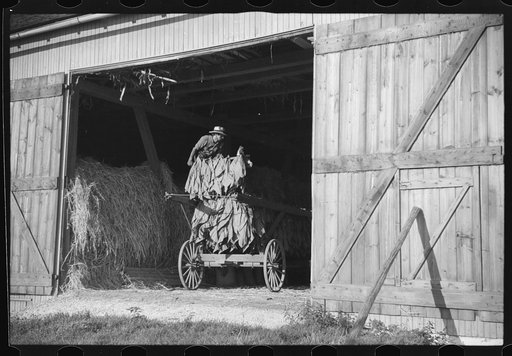 Untitled photo, possibly related to: Mennonite farmer putting tobacco into his barn, near Lancaster, Pennsylvania