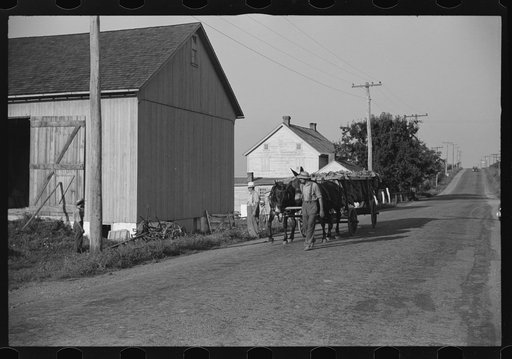 Mennonite farmer transporting load of tobacco, near Lancaster, Pennsylvania