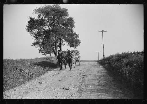 Untitled photo, possibly related to: Mennonite farmer putting tobacco into his barn, near Lancaster, Pennsylvania