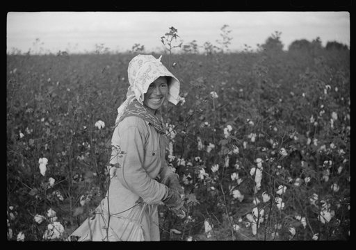 Untitled photo, possibly related to: Mexican woman, seasonal labor contracted for by planters, picking cotton on Knowlton Plantation, Perthshire, Mississippi Delta, Mississippi