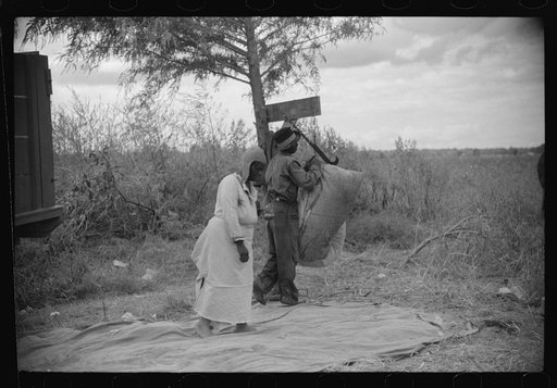 Untitled photo, possibly related to: Weighing and picking operations on Nugent cotton plantation, Benoit, Mississippi Delta, Mississippi. The pickers are hired day laborers from Greenville, and receive seventy-five cents per one hundred pounds