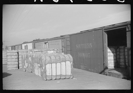 Untitled photo, possibly related to: Cotton bales to be shipped in freight cars, Knowlton Plantation, Perthshire, Mississippi Delta, Mississippi