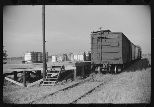 Cotton bales to be shipped in freight cars, Knowlton Plantation, Perthshire, Mississippi Delta, Mississippi