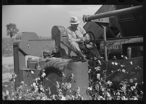 International cotton picker on Hopson Plantation, Clarksdale, Mississippi Delta, Mississippi