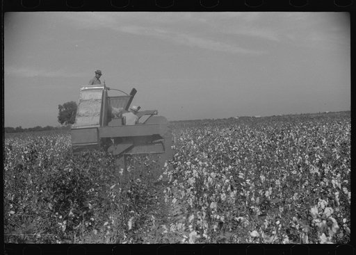 Untitled photo, possibly related to: International cotton picker on Hopson Plantation, Clarksdale, Mississippi Delta, Mississippi