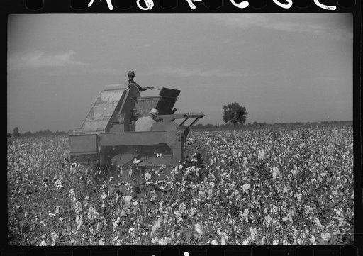Untitled photo, possibly related to: International cotton picker on Hopson Plantation, Clarksdale, Mississippi Delta, Mississippi